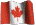 animated Canadian flag
